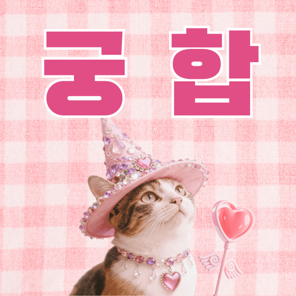 궁합 해설